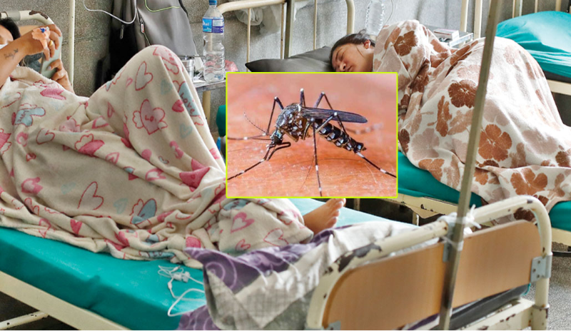 डेंगी संक्रमणबाट ३६ जनाको मृत्यु, २७ हजार बढी संक्रमित